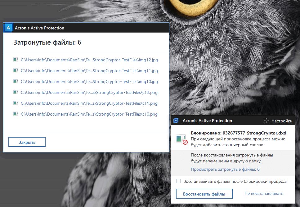 ����� Acronis True Image 2017 New Generation - Acronis Active Protection