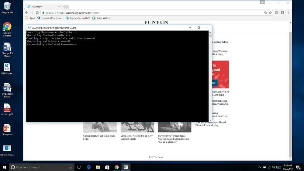 ������ ������������ ���������