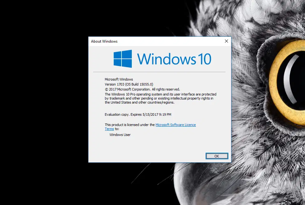 Windows 10 Insider Preview Build 15055 �������� ��� ��������