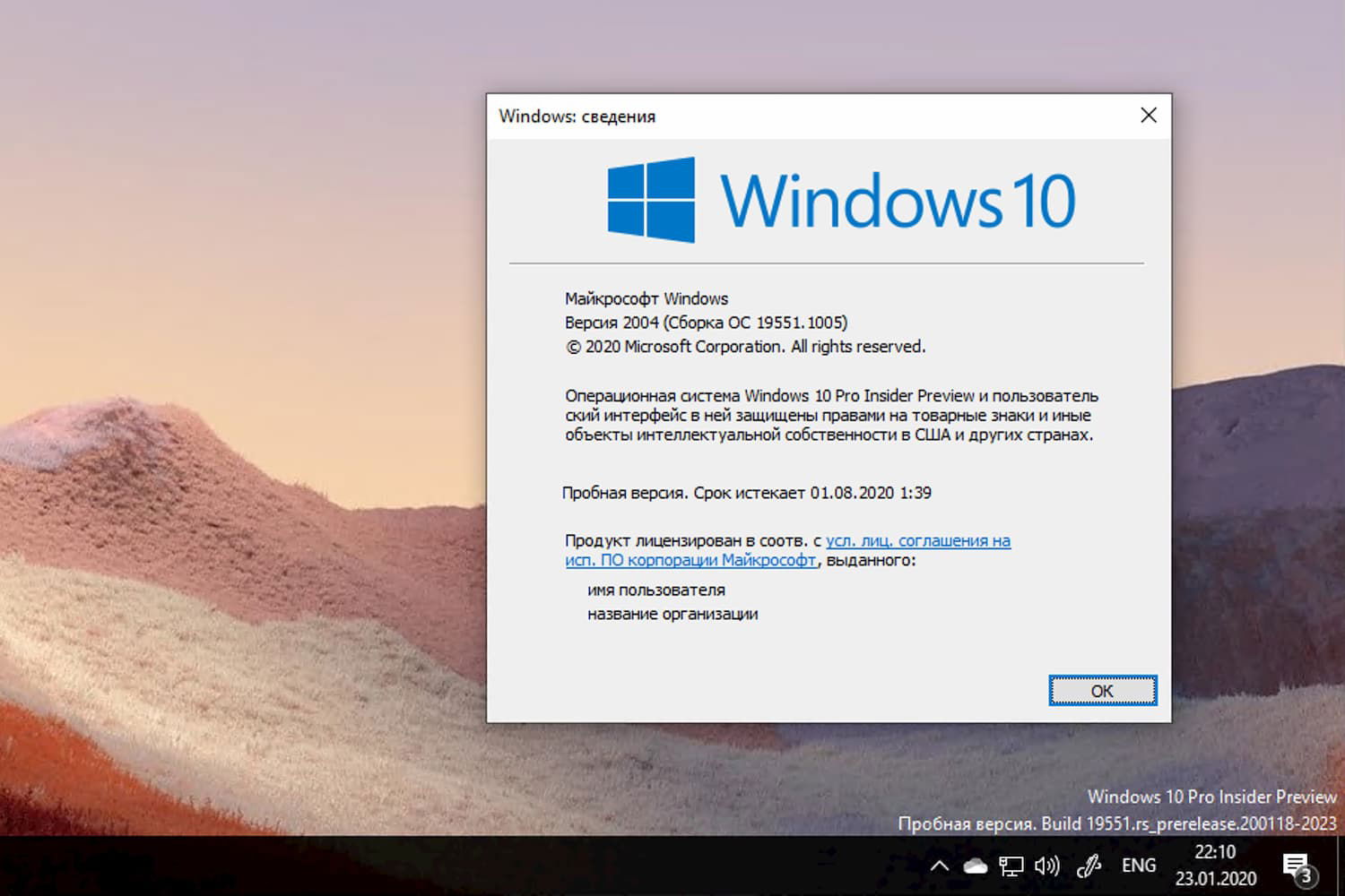 Windows 10 Insider Preview build 19551.1005, версия 2004