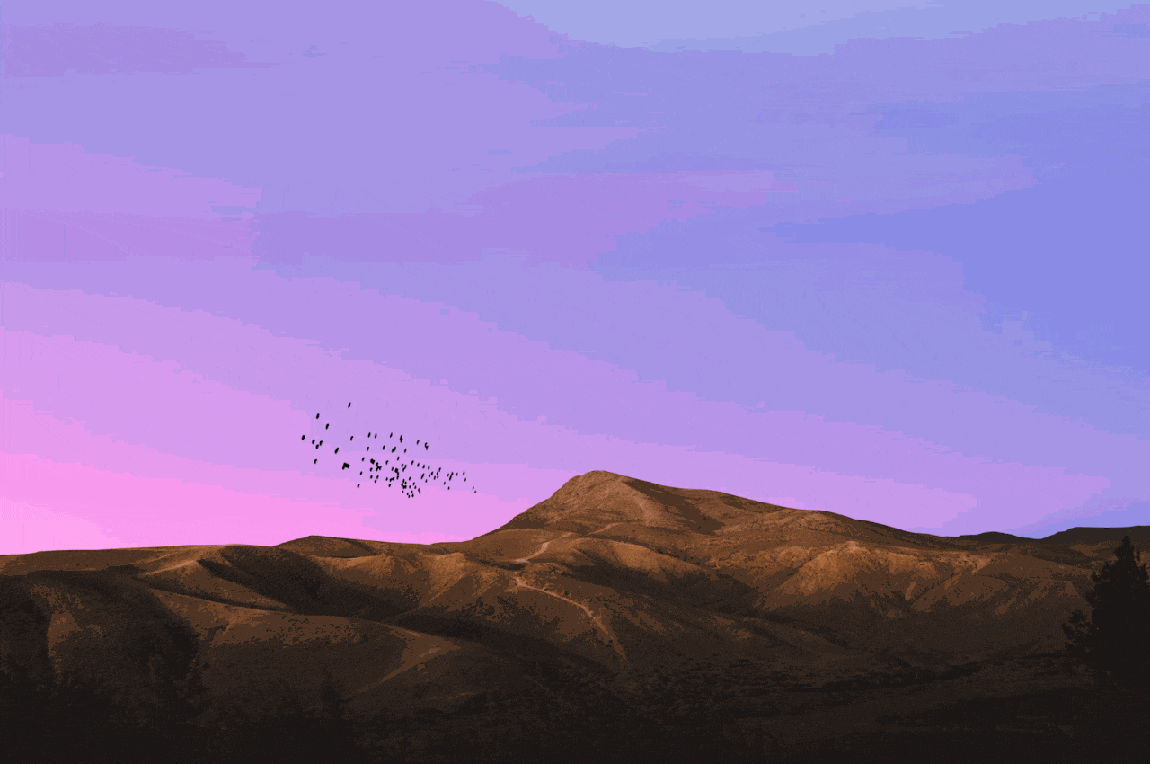 ������������ ���� �������� �����