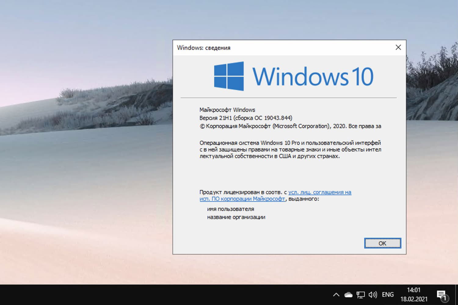 Windows 10, ������ 21H1