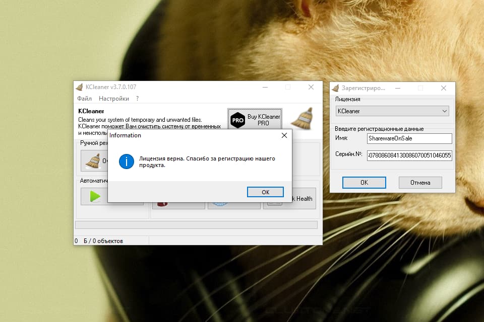 KCleaner � ���������� ��������