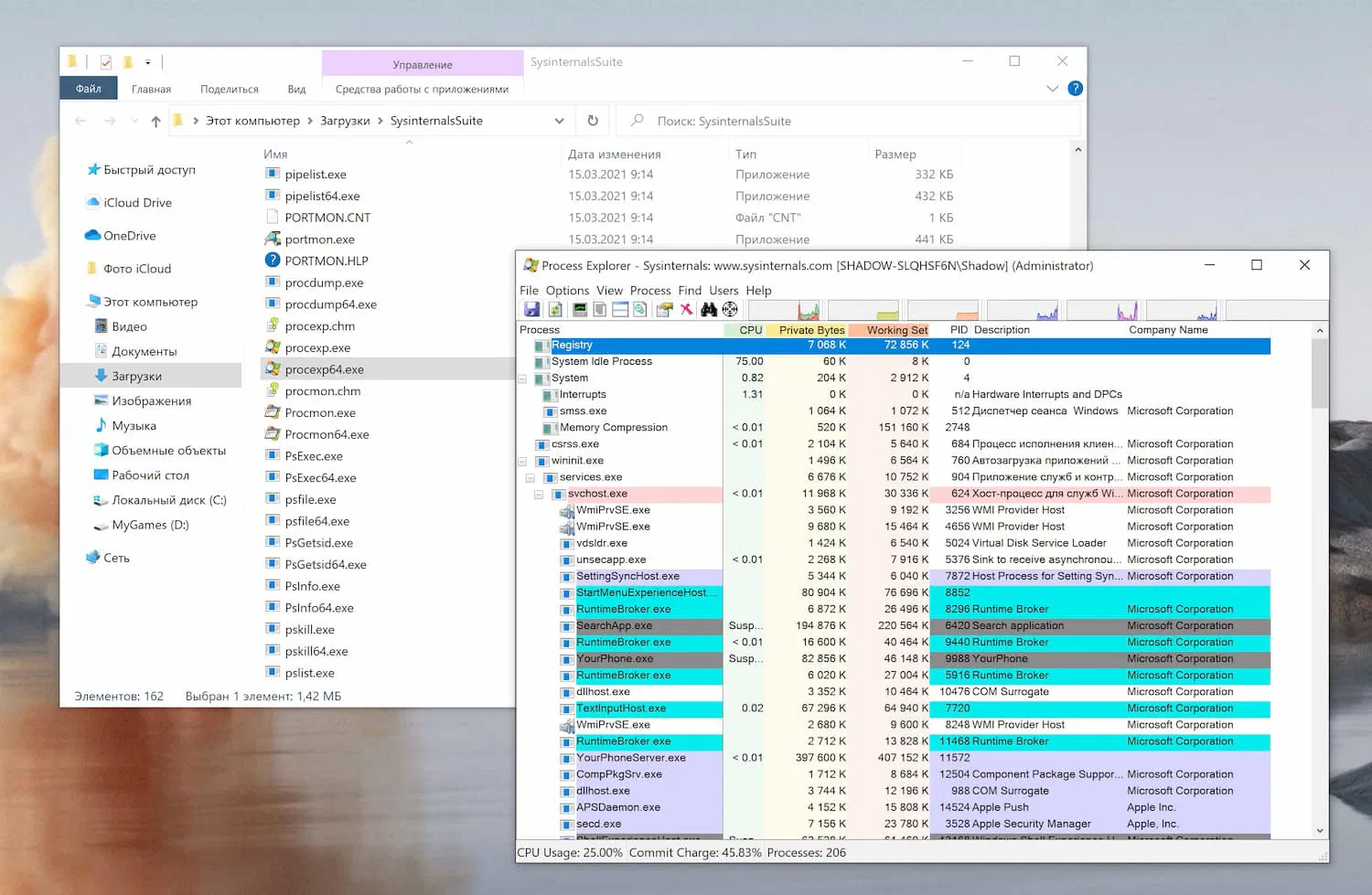 Windows Sysinternals Tools