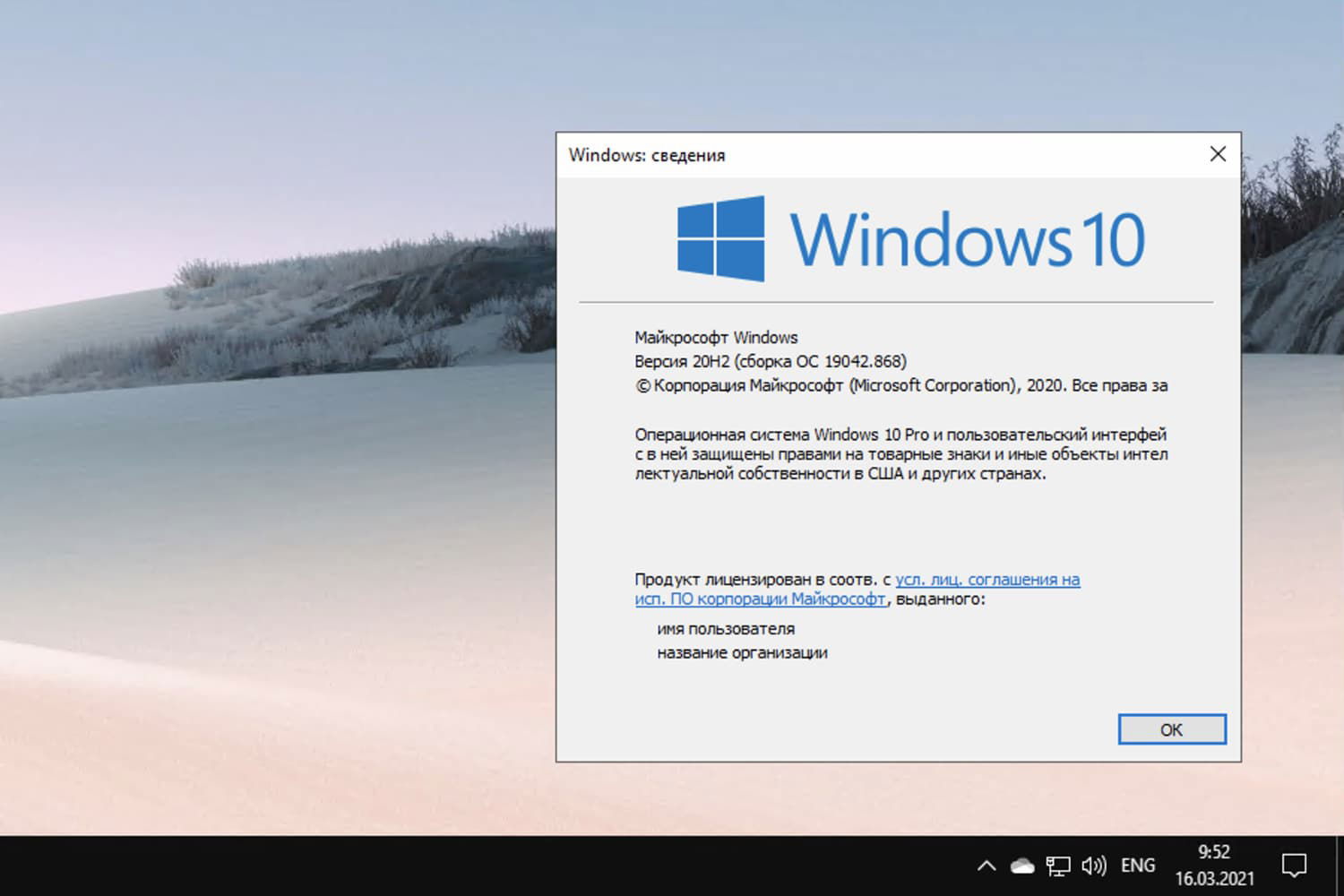 Windows 10 Build 19042.868, ������ 20H2