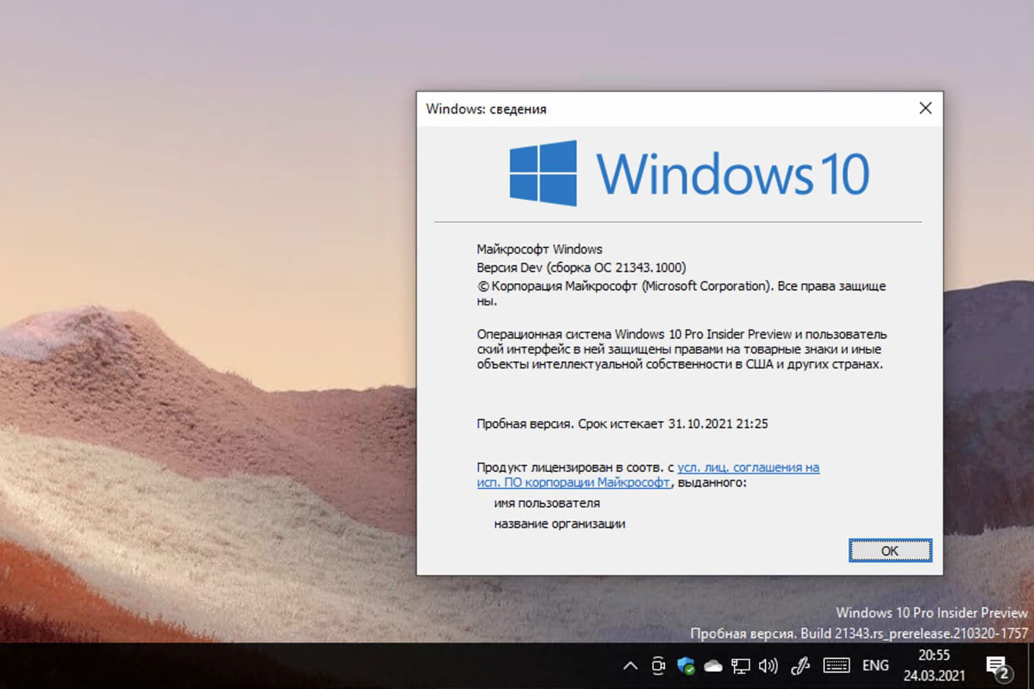 Windows 10, ������ Dev (������ 21343.1000)