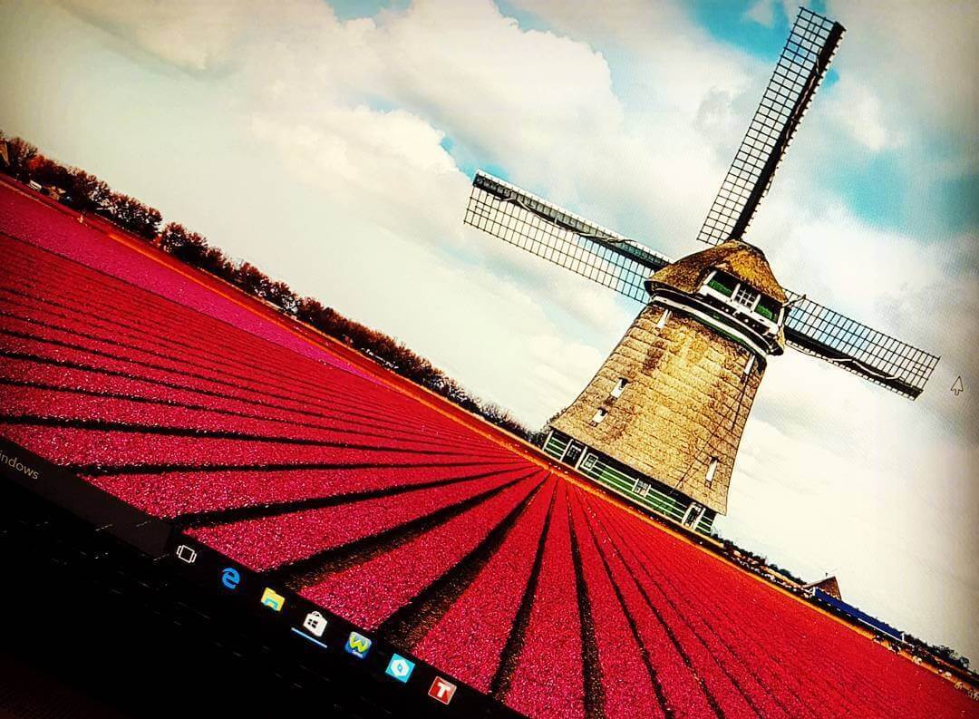 ��� Windows 10 ������ 14342 �������� ������������ ���������� KB3158988