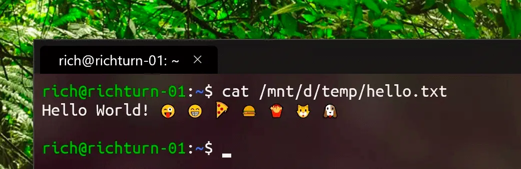 Windows Terminal