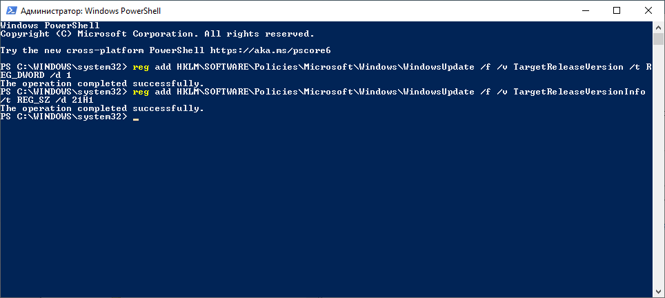 TargetReleaseVersionInfo