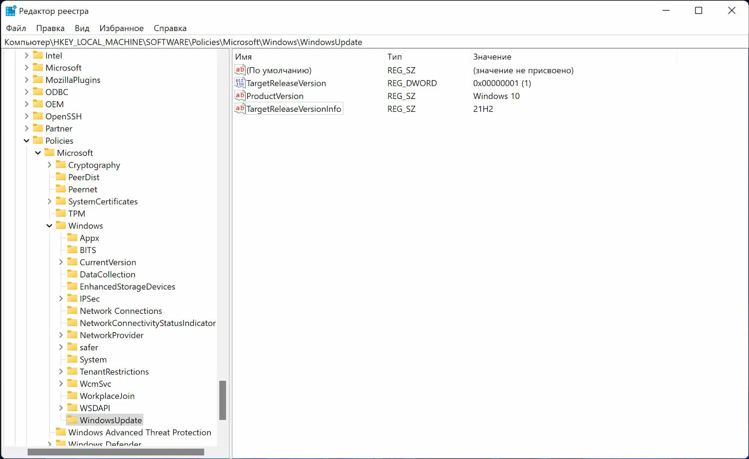 TargetReleaseVersionInfo