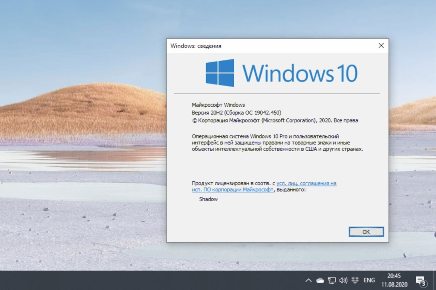 Windows 10 build 19042.450, ������ 20H2