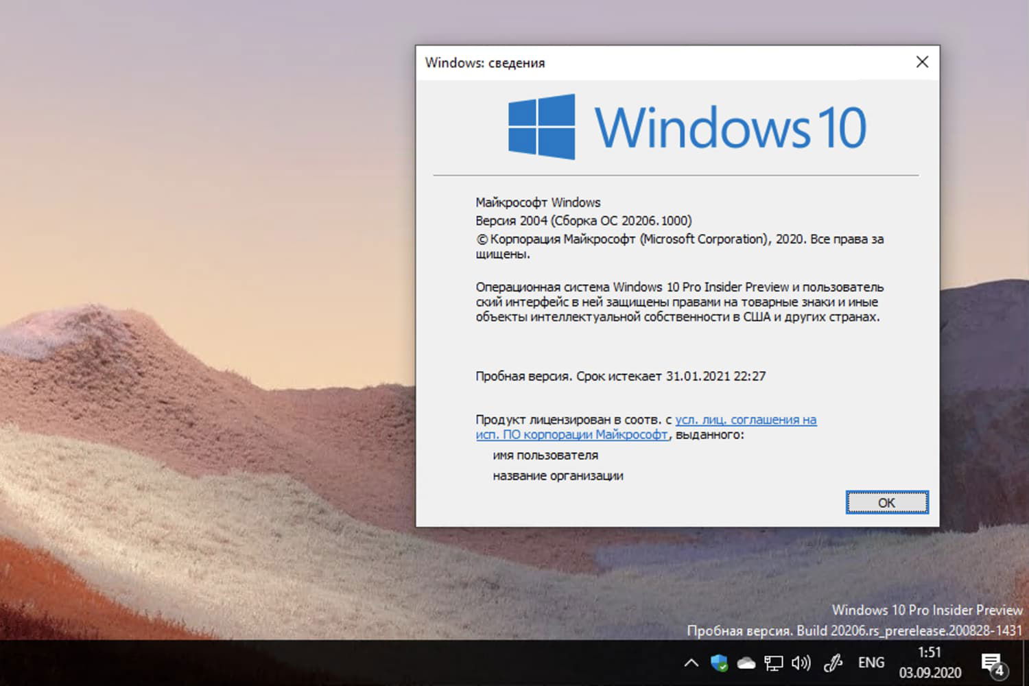 Windows 10 Insider Preview build 20206.1000, ������ 2004