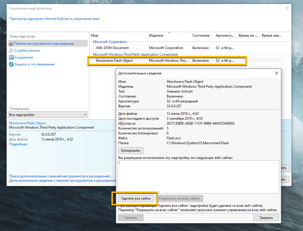  Internet Explorer � Shockwave Flash Object