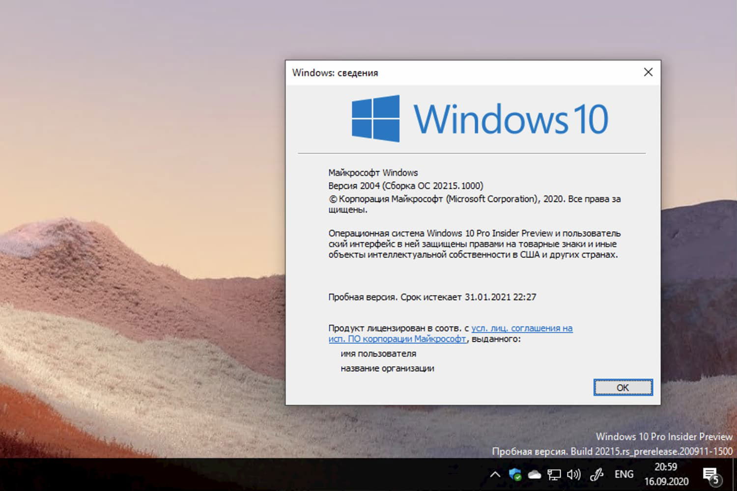 Windows 10 Insider Preview build 20215.1000, ������ 2004