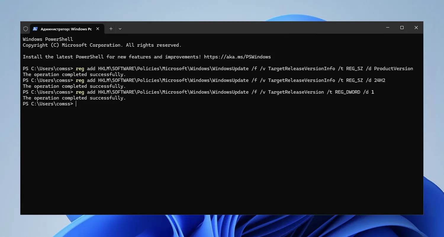 TargetReleaseVersionInfo