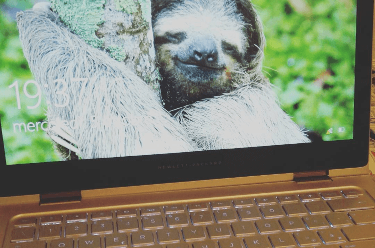 Windows 10 build 14931 �������� ��� ���������� ���������� ����� ����������