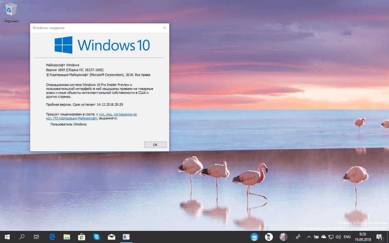 Windows 10 build 18237 (19H1) �������� ��� ������������