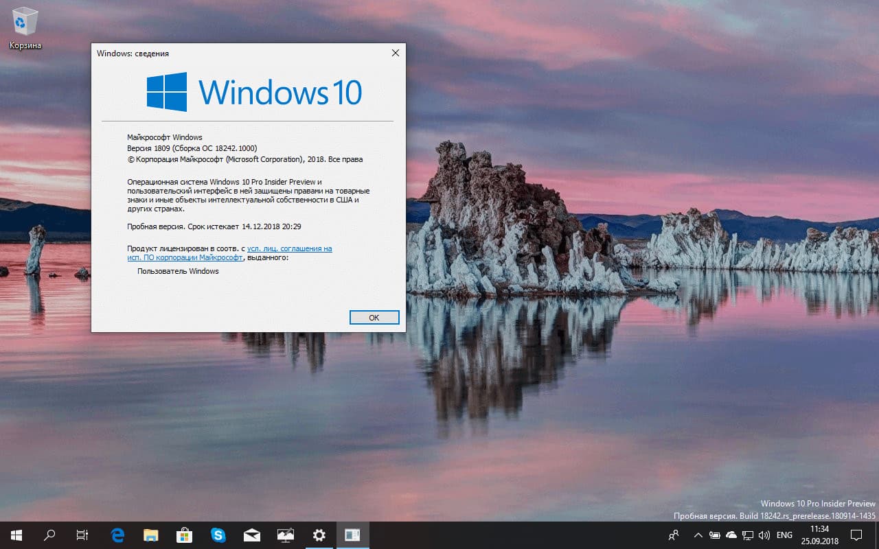 Windows 10 build 18242 (19H1) �������� ��� ������������