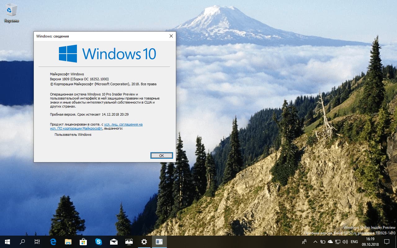 Windows 10 build 18252 (19H1) �������� ��� ������������