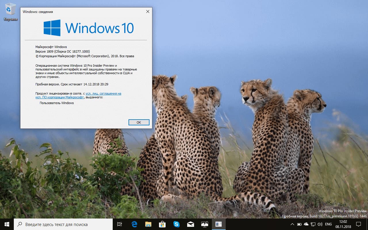 Windows 10 build 18272 (19H1): Windows 10 build 18277 (19H1): �������� ������ � ��������� � Application Guard ��������� Windows