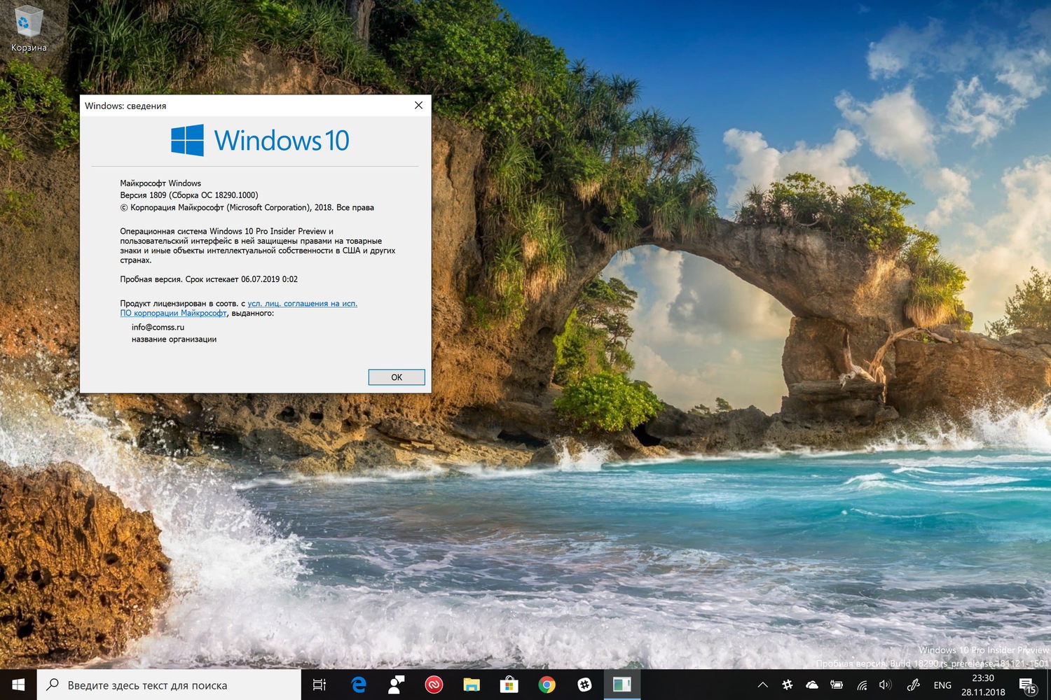 Windows 10 build 18290 (19H1) �������� ��� ������������