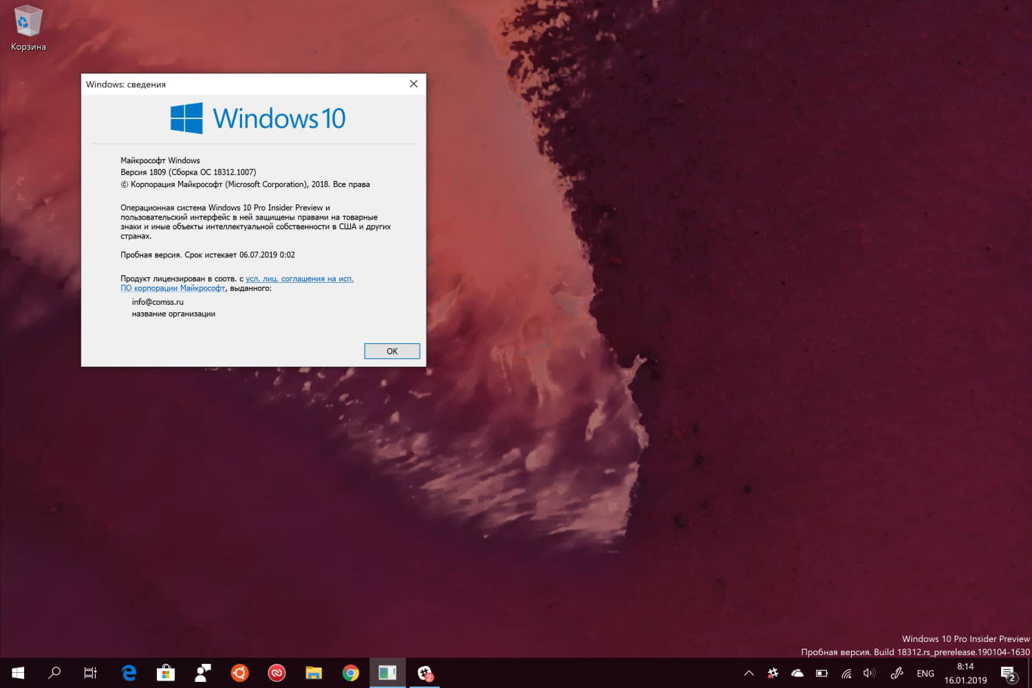 Windows 10 build 18312 (19H1): ����������������� ��������� ��� ���������� � ������ ���� ��