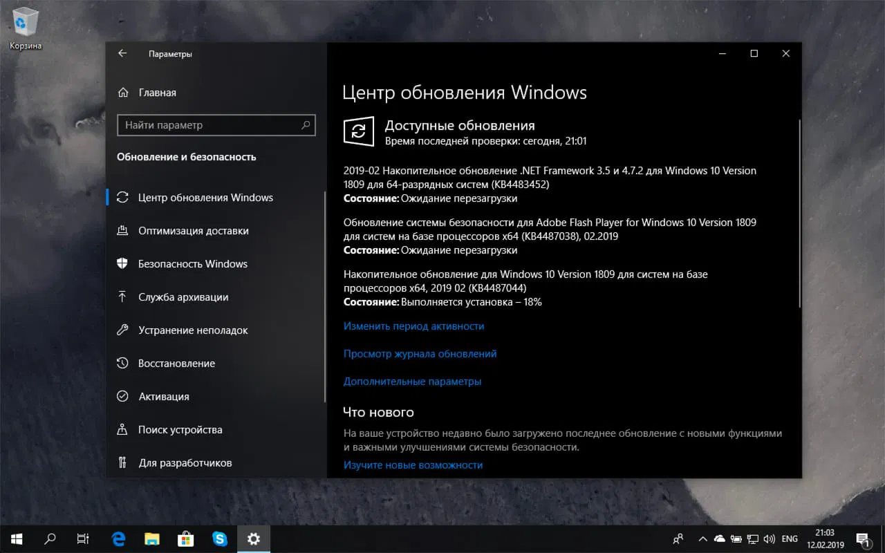 ��������� ���������� KB4487044 (17763.316) ��� Windows 10 ������ 1809