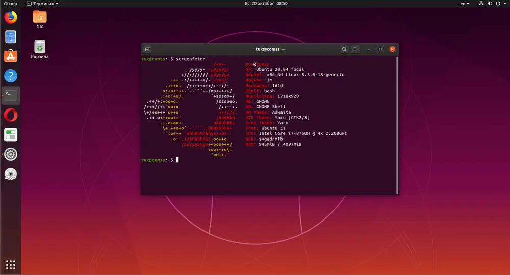 Ubuntu 20.04 LTS �Focal Fossa�