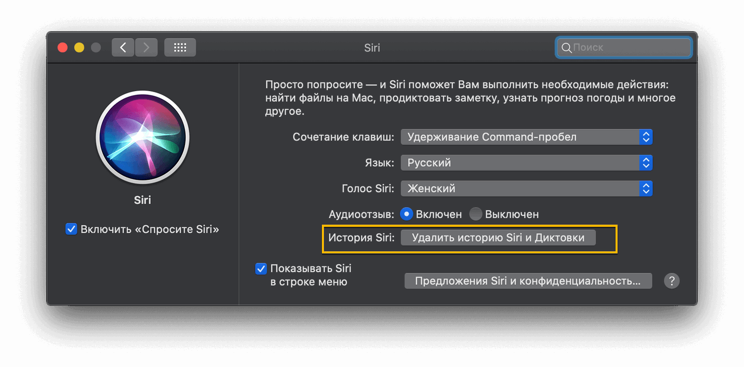 ������� ������� Siri � ��������