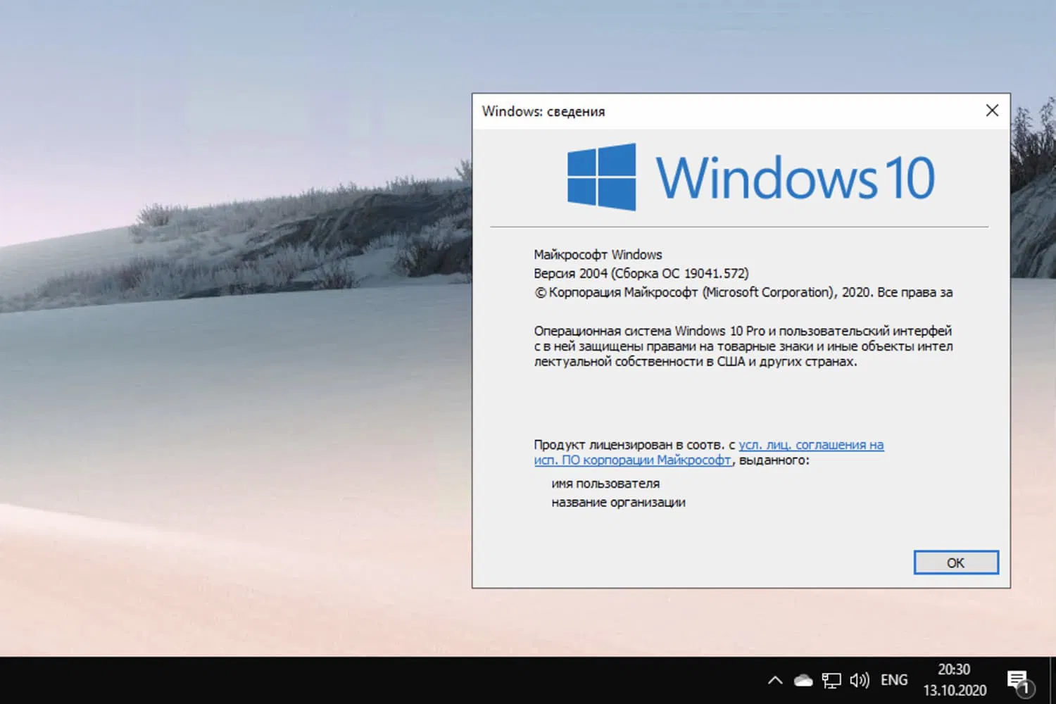 Windows 10 build 19041.572, ������ 2004