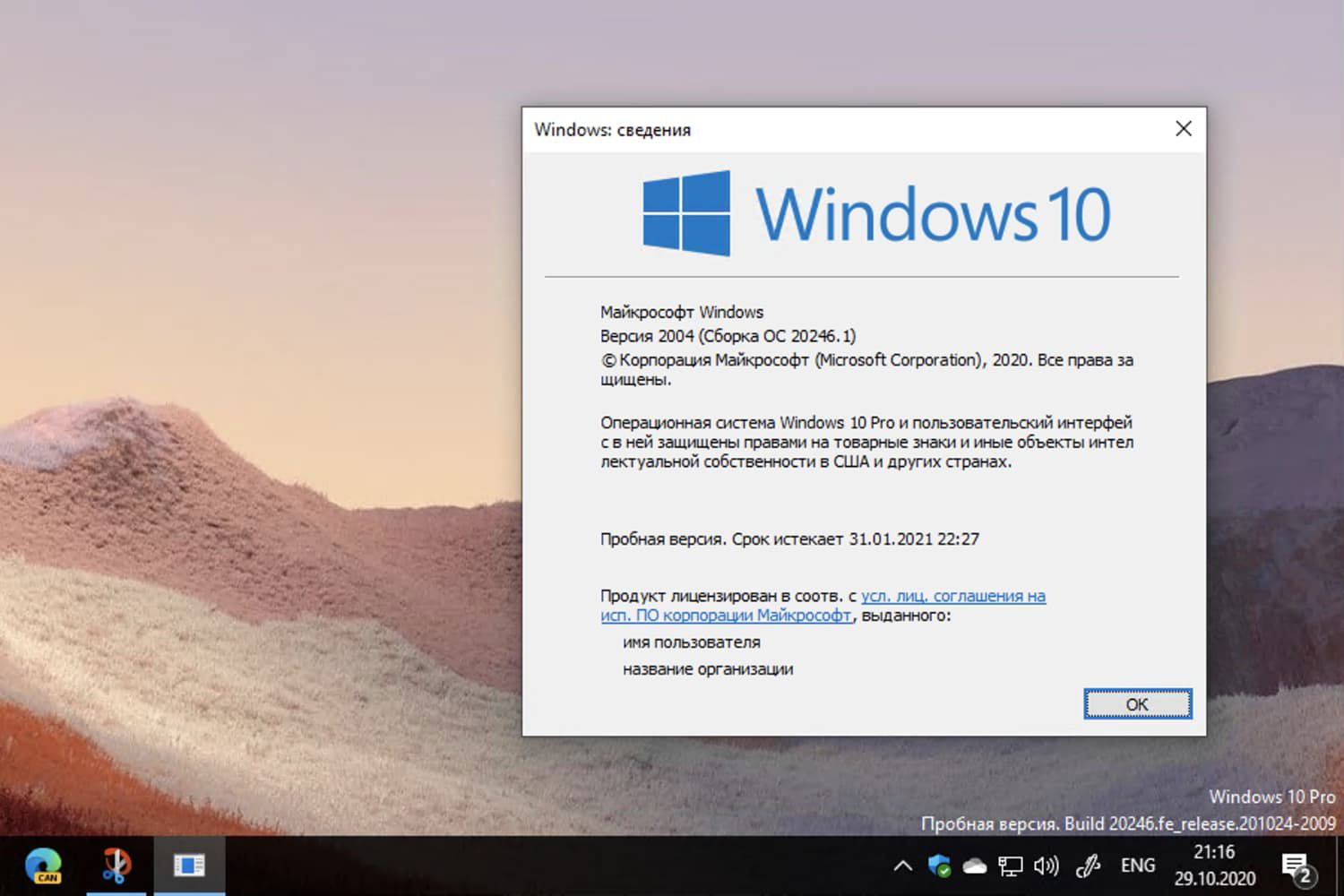 Windows 10 Insider Preview build 20246.1, ������ 2004