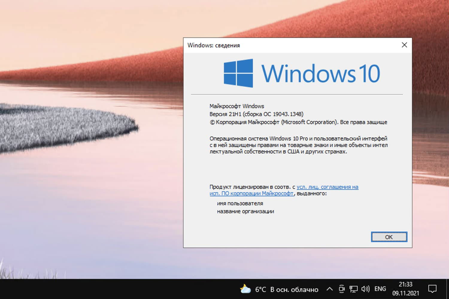 Windows 10, версия 21H1 (сборка ОС 19043.1348)