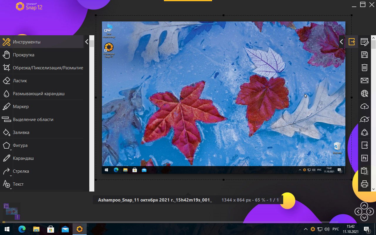 Ashampoo Snap 12 � ���������� ��������