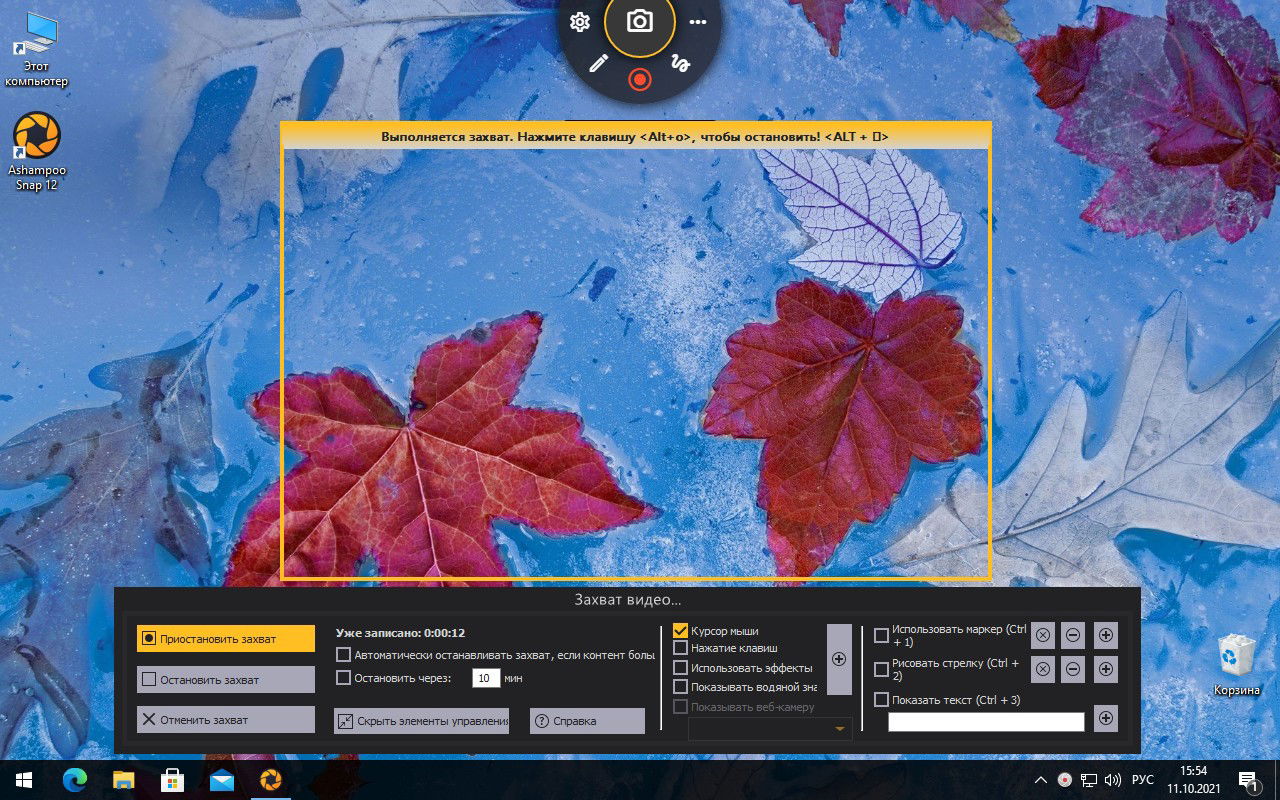 Ashampoo Snap 12 � ���������� ��������