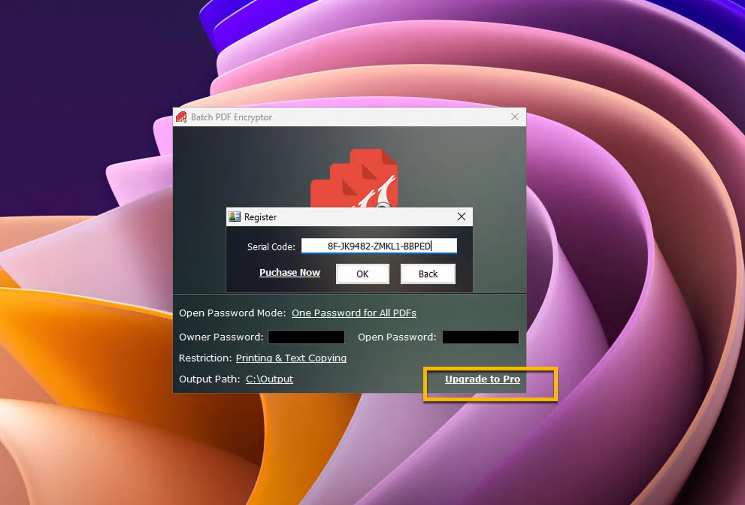 Бесплатная лицензия Batch PDF Encryptor PRO
