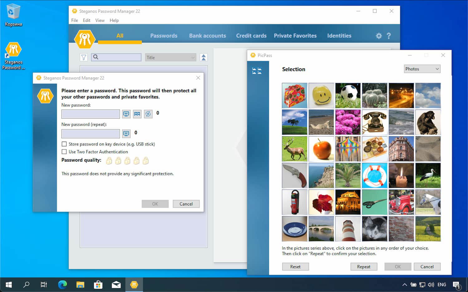 ���������� �������� Steganos Password Manager