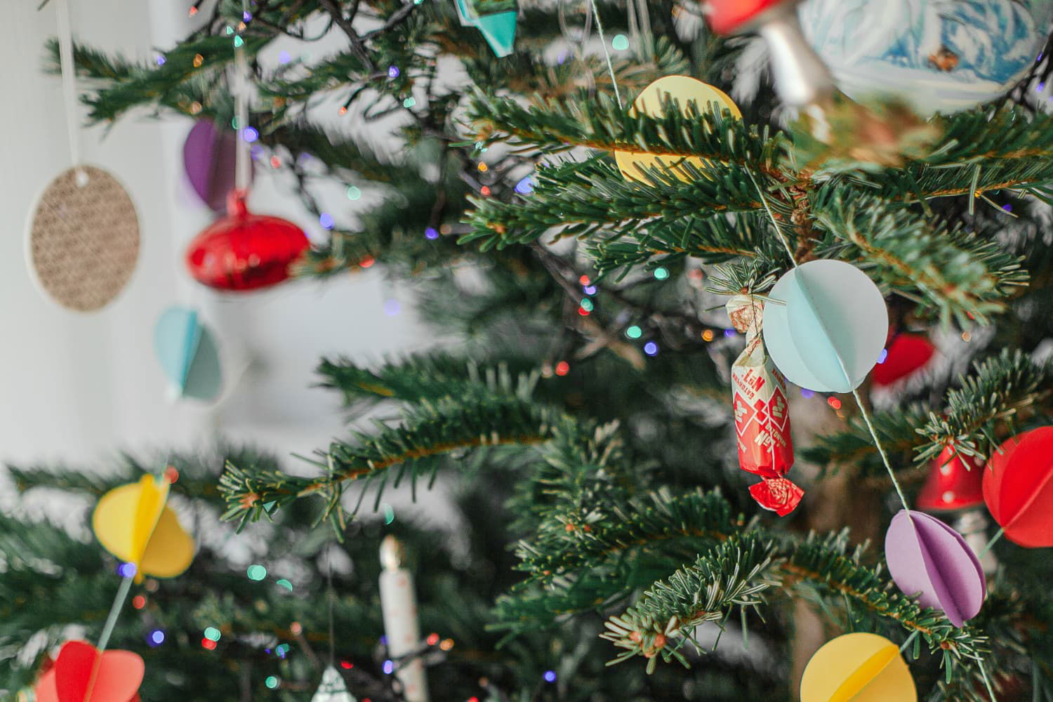 � ����� 2022 �����!