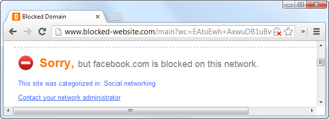 ���� ������ ������������ ��������� DNS-������: ������ �� �������