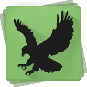 ��������� Black Bird Cleaner