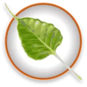 ��������� Bodhi Linux